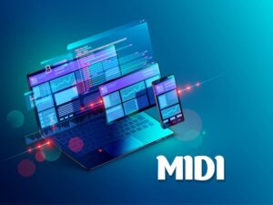 midi web tasarım paketi