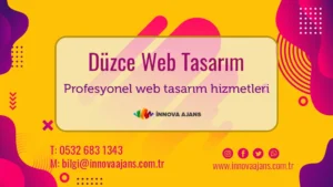 Düzce web tasarım